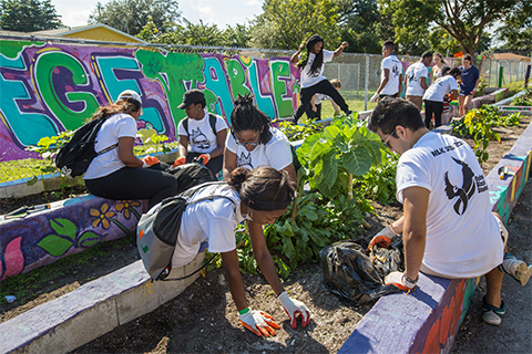 Community Outreach Programs  Office of Undergraduate Research and